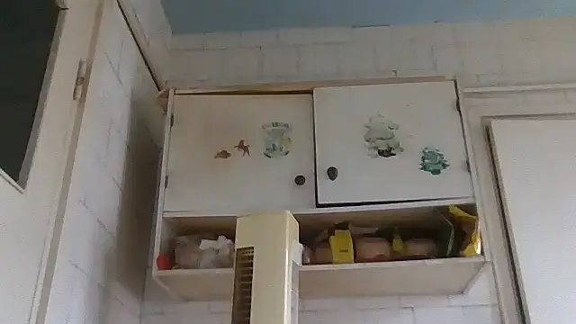 Snapshot of mariusica1@xh chatting on February 8, 10:35 am mariusica1xh online show from February 8, 10:35 am