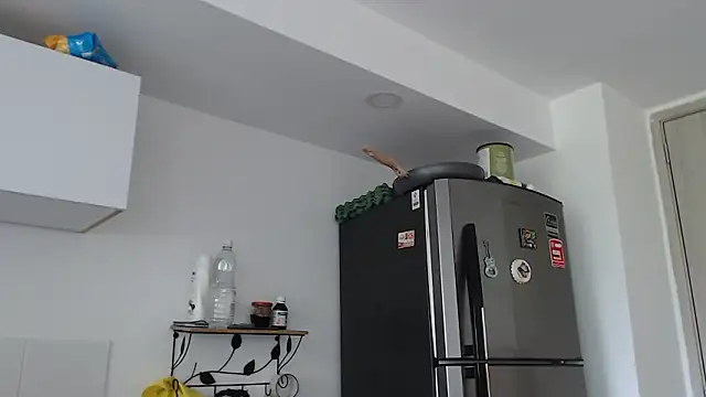 thomas gun online show from February 3, 3:28 pm