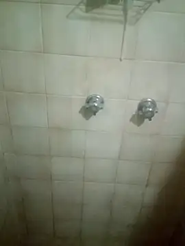 Professor Leo  online show from February 11, 12:49 pm