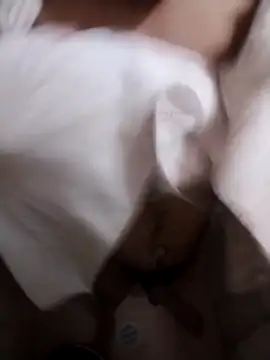 Professor Leo  online show from February 2, 2:54 am