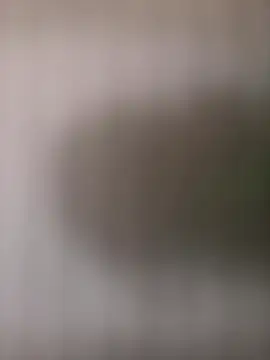 Snapshot of mrwright878787 chatting on October 4, 1:45 pm mrwright878787 online show from October 4, 1:45 pm