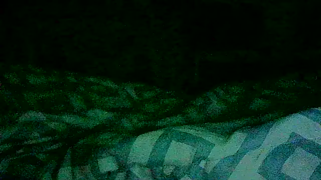 Snapshot of DI4MOND_FIR3 chatting on November 21, 11:42 am DI4MOND FIR3 online show from November 21, 11:42 am