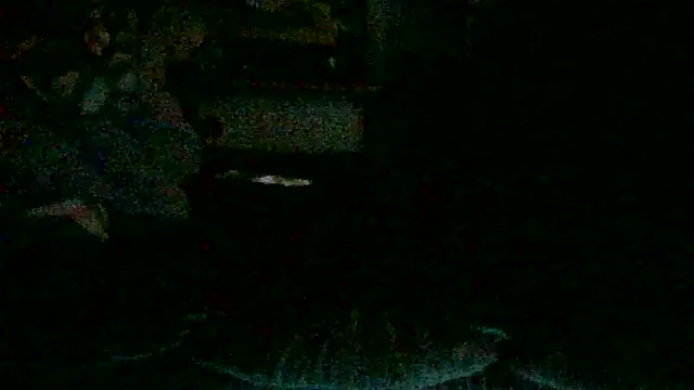 Snapshot of DI4MOND_FIR3 chatting on October 30, 2:47 pm DI4MOND FIR3 online show from October 30, 2:47 pm