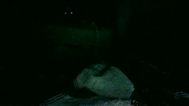 Snapshot of DI4MOND_FIR3 chatting on November 18, 10:51 am DI4MOND FIR3 online show from November 18, 10:51 am