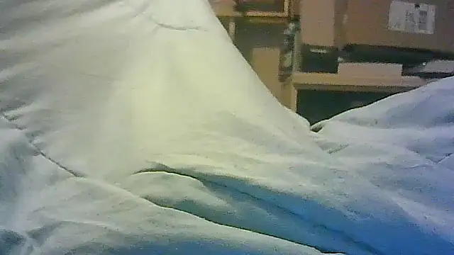 Snapshot of DI4MOND_FIR3 chatting on November 11, 6:19 am DI4MOND FIR3 online show from November 11, 6:19 am