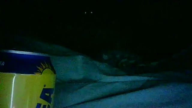 Snapshot of DI4MOND_FIR3 chatting on November 28, 12:33 am DI4MOND FIR3 online show from November 28, 12:33 am