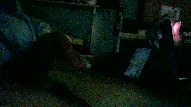 Snapshot of DI4MOND_FIR3 chatting on November 12, 9:51 pm DI4MOND FIR3 online show from November 12, 9:51 pm