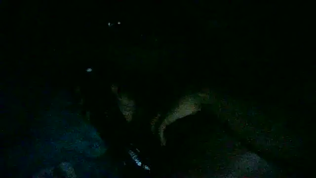 Snapshot of DI4MOND_FIR3 chatting on November 7, 9:58 am DI4MOND FIR3 online show from November 7, 9:58 am