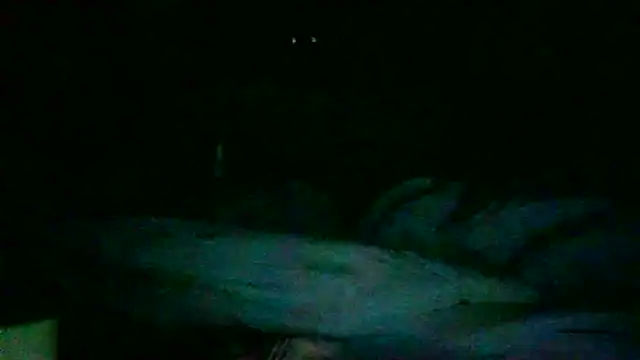 Snapshot of DI4MOND_FIR3 chatting on November 27, 12:27 pm DI4MOND FIR3 online show from November 27, 12:27 pm