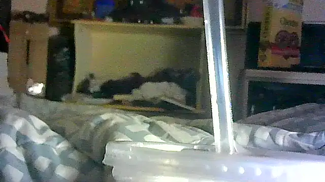 DI4MOND FIR3 online show from April 17, 2:53 pm