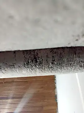 dulce celeste15 online show from March 31, 1:40 am