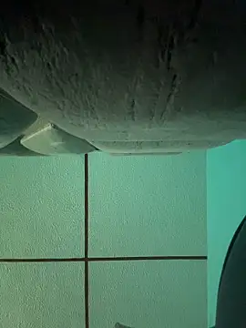 dulce celeste15 online show from November 15, 3:05 pm