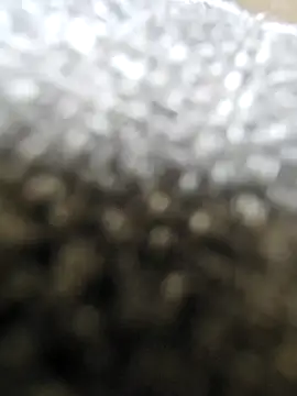 Moonbadboyss online show from October 9, 8:04 am