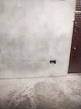 Priya-bhabi012 online show from February 25, 7:30 am