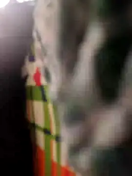 Priya-bhabi012 online show from April 25, 2:03 am