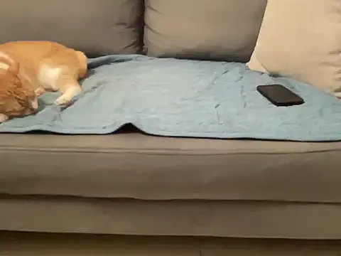 4small4inchlol online show from November 14, 3:59 pm