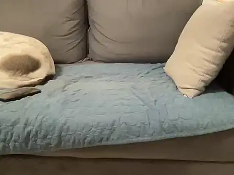 4small4inchlol online show from February 20, 11:50 pm