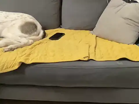 4small4inchlol online show from October 29, 4:39 pm