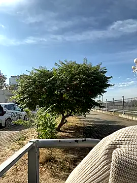 Snapshot of SandraCarter chatting on September 18, 6:05 am SandraCarter online show from September 18, 6:05 am