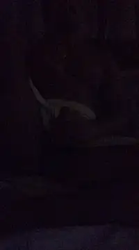 morenonicexxx online show from March 16, 1:07 am