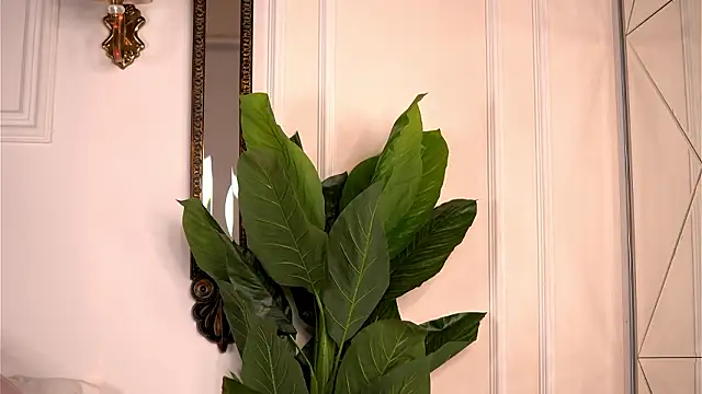 AvaShayy online show from March 4, 8:38 pm