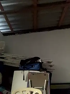 Charlotte Bradshaw online show from January 7, 5:29 pm