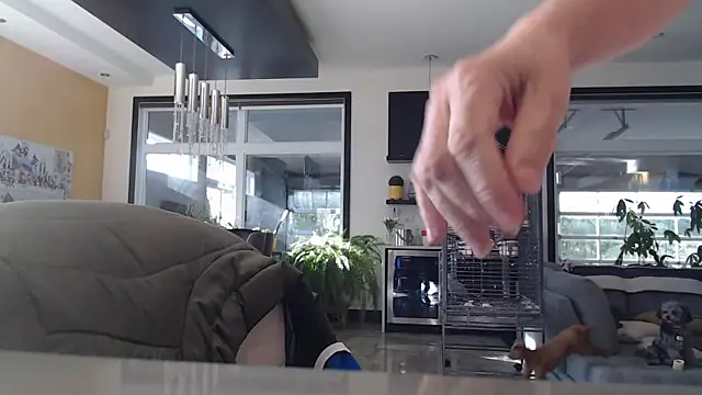 Toy-Daddy online show from November 6, 6:45 pm