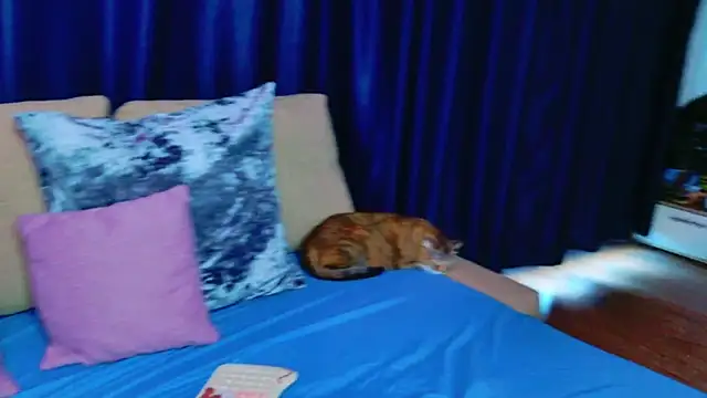  Alison   online show from July 8, 6:03 am