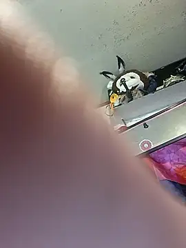 gettinit2wice online show from March 11, 2:00 pm