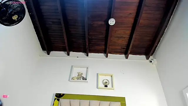 vahiolet fuentes online show from November 27, 3:07 am