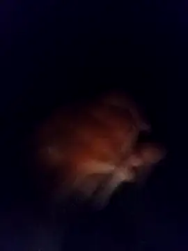 jaxyboys online show from February 3, 4:46 am