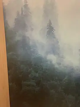 ladoucedu34 online show from February 11, 3:34 pm