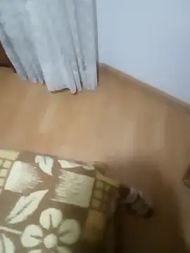 rush6983 online show from November 6, 1:31 am