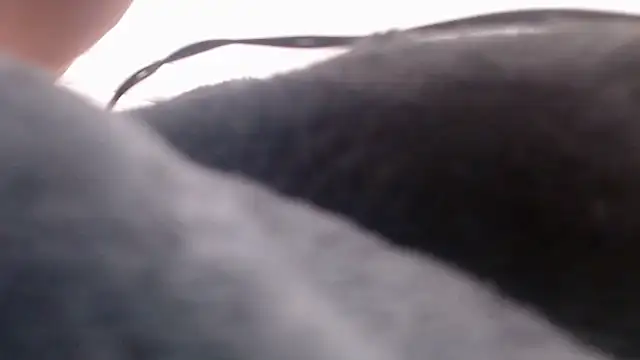 fk me good online show from December 16, 3:55 am