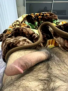 Serkan3356 online show from November 14, 7:56 am