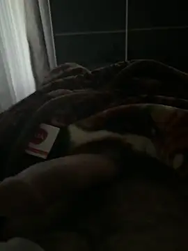 Serkan3356 online show from November 13, 7:56 am