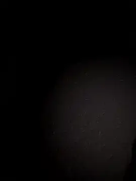 Metetededosmami online show from January 11, 9:05 am