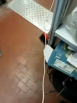 Porco81cazzo online show from December 21, 12:07 pm