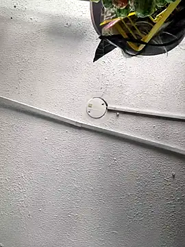 Edged Hot69 online show from October 24, 3:33 pm