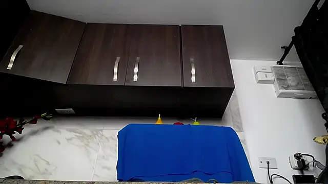 iniyalaboni online show from December 4, 8:30 pm