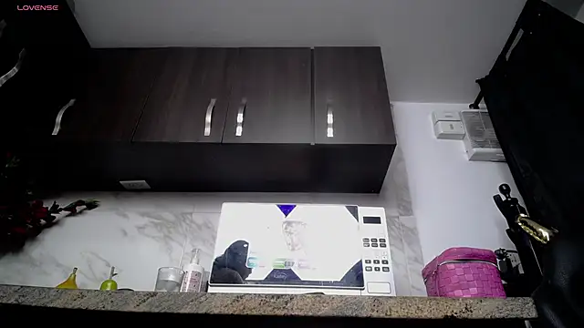 iniyalaboni online show from November 26, 8:20 pm