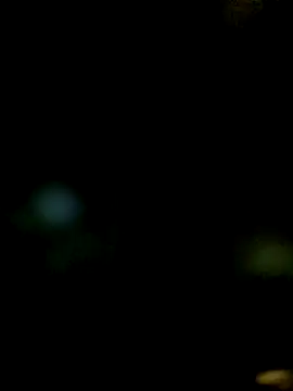 JAWHARA  online show from December 14, 10:04 pm