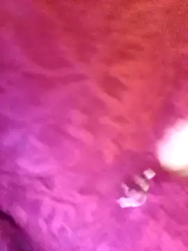 JAWHARA  online show from November 12, 11:30 pm