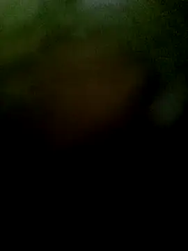 JAWHARA  online show from November 6, 1:04 pm