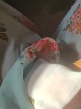 Snapshot of iaparna chatting on December 2, 4:05 am iaparna online show from December 2, 4:05 am