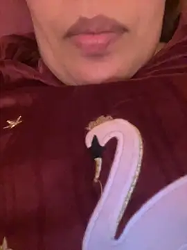 Samarr 9and online show from December 20, 2:26 pm