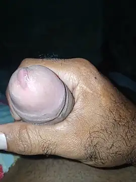 taylorWiiz online show from November 26, 4:56 am