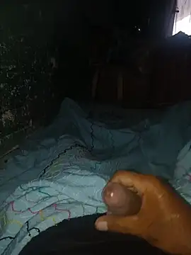 taylorWiiz online show from November 27, 1:55 pm