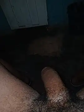 taylorWiiz online show from December 23, 1:49 am