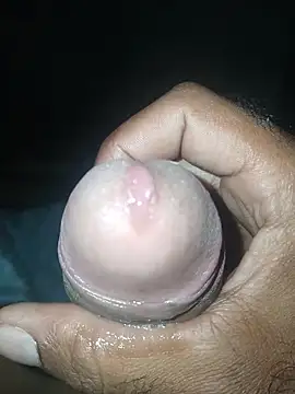 taylorWiiz online show from November 19, 4:56 am